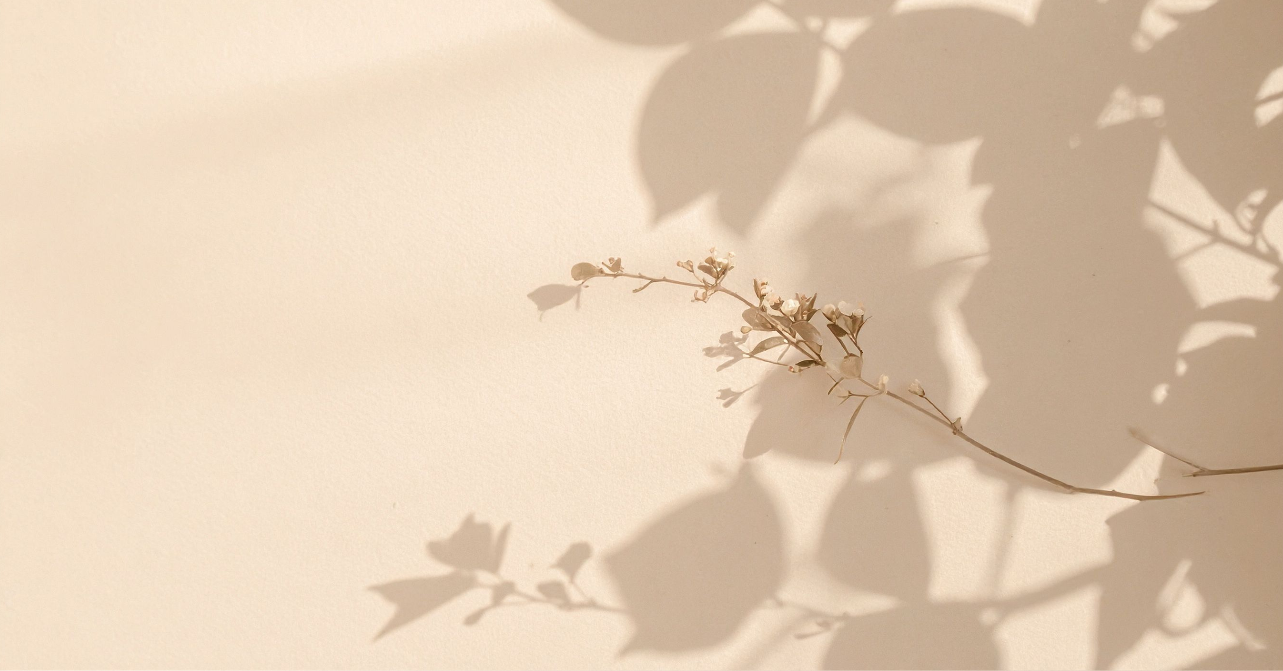 minimal neutral background for personal growth journal brand